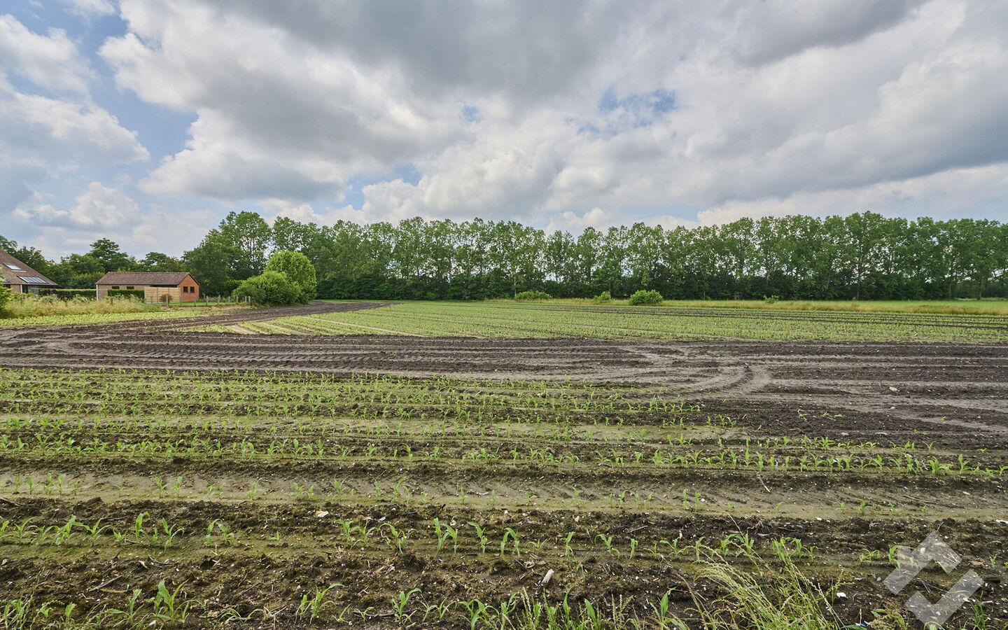 Huis te koop in Overpelt